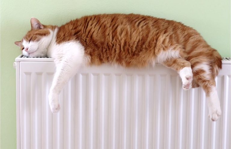 TDS Plomberie chauffage plombier chauffagiste dépannage réparation, entretien chaudière gaz et fioul pose ballon thermodynamique pose WC

